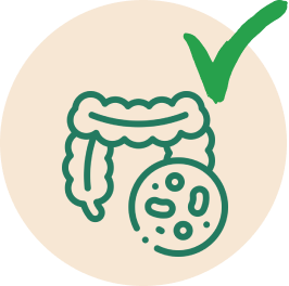 a green tick and a white circle with a drawing of a human intestine