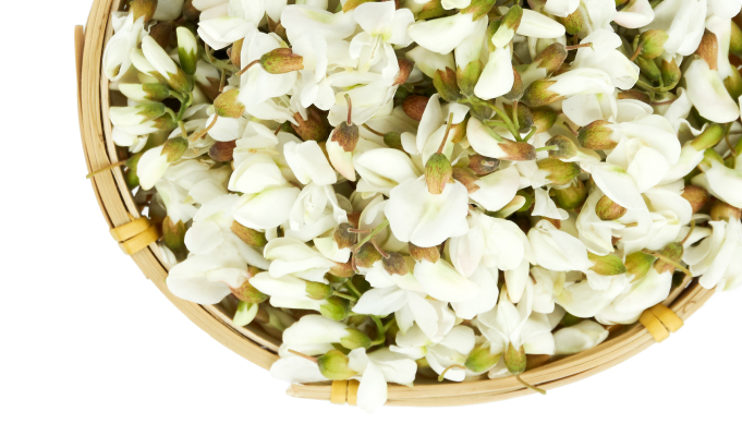 a basket full of white flowers