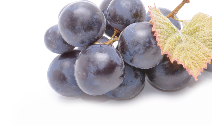 a bunch of grapes with a leaf