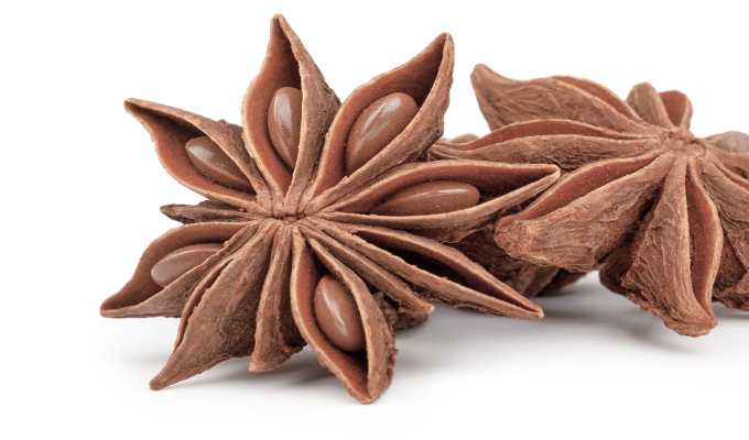 anise stars in a star shaped shell